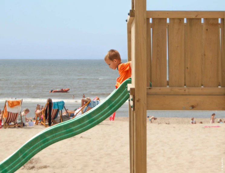 Wooden Professional Jungle Gym with Swing • Hy-land P8s